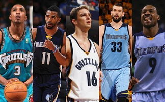 拍脑袋选项 拍脑袋选项